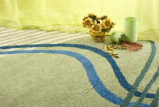 Rug Cleaning Utica NY